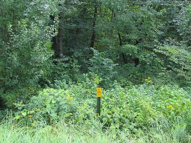 1st image of 15.06 Ac Hwy #21