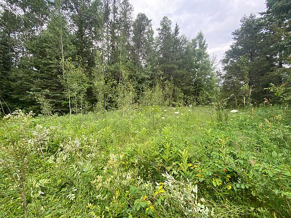 4th image of 29422 W Huckleberry Lake Rd