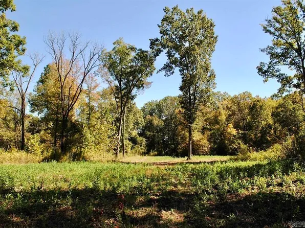 Off Forest Rd #Y09, Perryville, AR 72126
