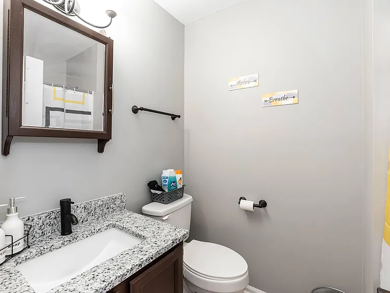 Bathroom with granite-look vanity, undermount sink, wall mirror cabinet, and tub/shower with curtain and grab bar.