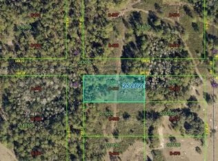 25-26-21-000000-023200 LOT B-589, POLK CITY, FL 33868