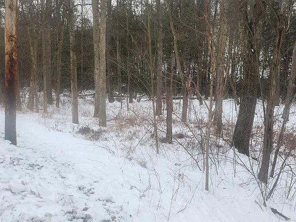 5th image of Brush Creek Rd