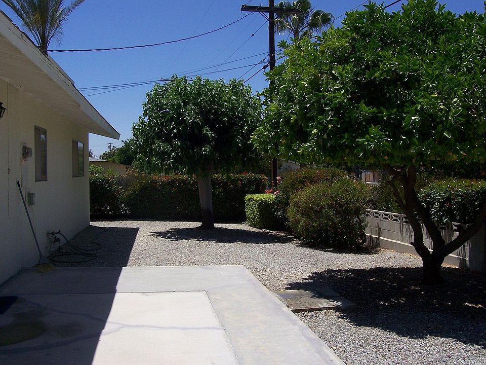 Backyard with Fruit Trees