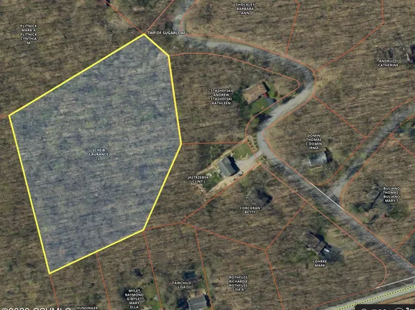 Mountain Ridge Rd, Sugarloaf, PA 18249