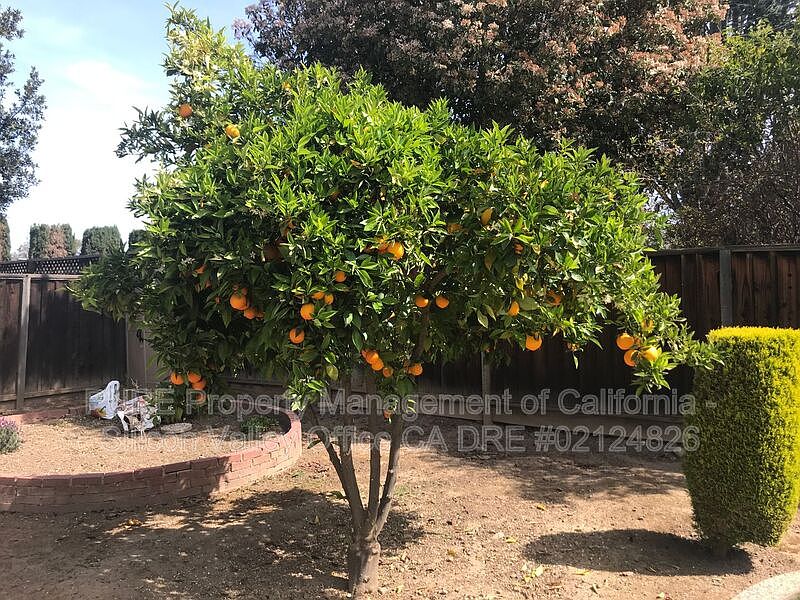 2nd image of 4858 Tampico Way