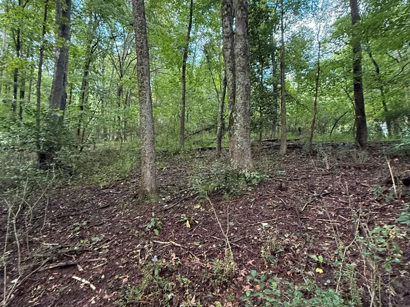 0 Carol St, Buckhannon, WV 26201