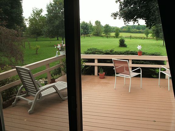 back yard from deck
