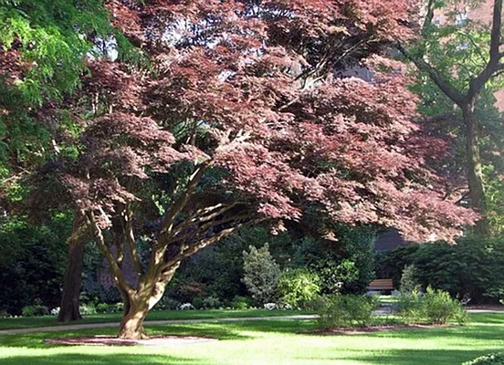 Sold by Corcoran | media 13