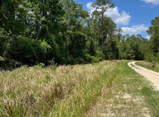 Vacant Ne Edgewater Cir, Lee, FL 32059