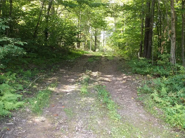 0 Freer Hollow Rd, Walton, NY 13856