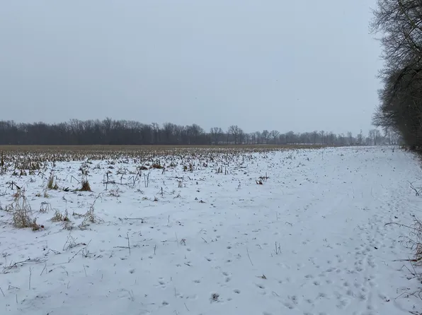 Copeland Rd #2, Bronson, MI 49028