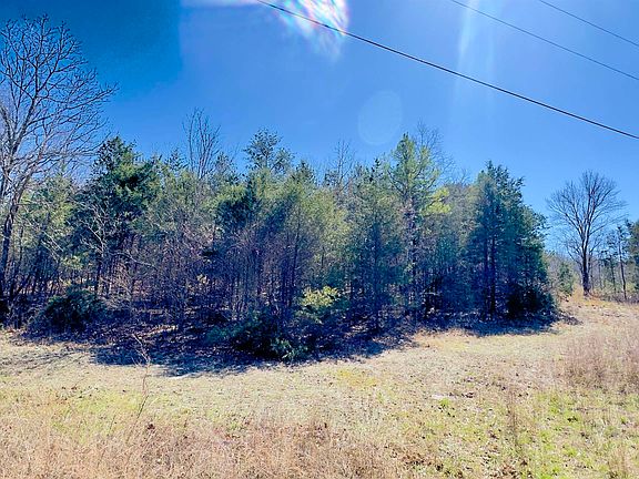 5th image of 22 Red Lamb Rd