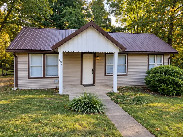 803 N Allyn St, Carbondale, IL 62901