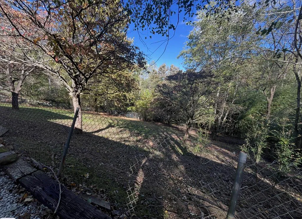 2 bed, 1.5 bath, $1,500 — Photo 3