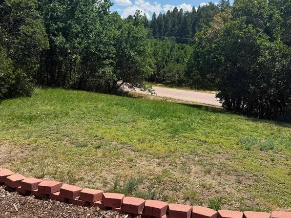 985 E Possee Rd, Castle Rock, CO 80108