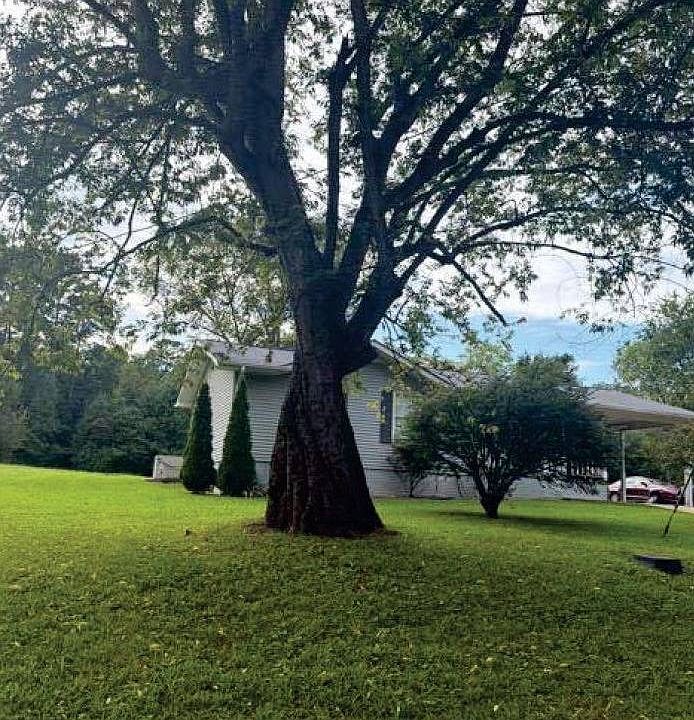 2nd image of 286 Dogwood Ln