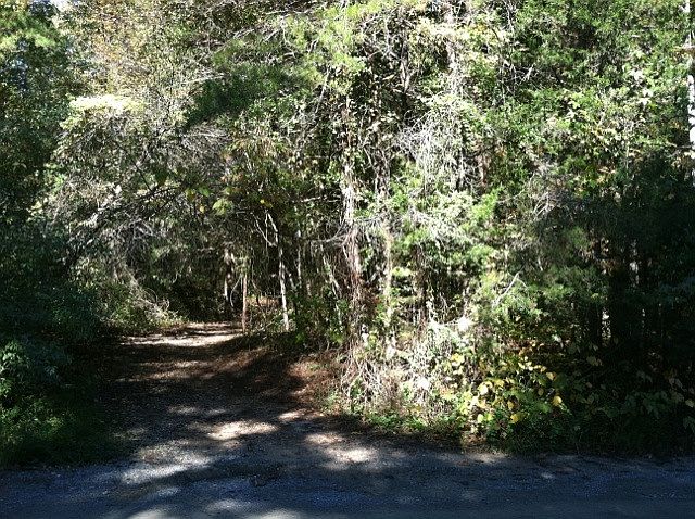 1st image of 258 Meadowview Ln
