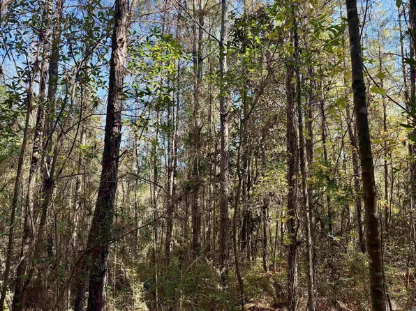 2 Highway 1046, Amite City, LA 70442