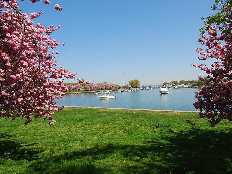 Harbor Island Park
