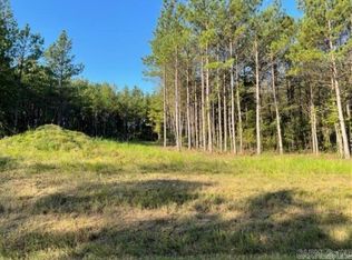 1 Round Mountain Rd #5, Conway, AR 72034