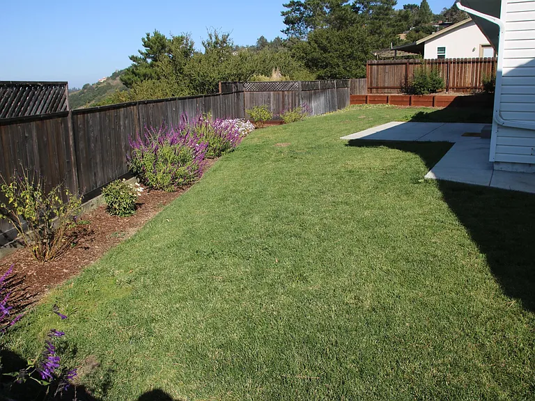 1342 Rainbow Dr — Photo 26