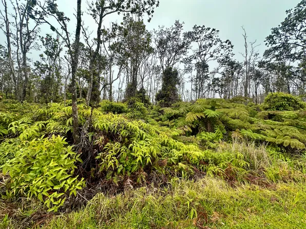 11-3375 Mokuna St Lot 2092, Volcano, HI 96785