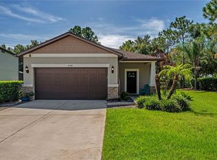 4342 O'Rourke Ct, Zephyrhills, FL 33543