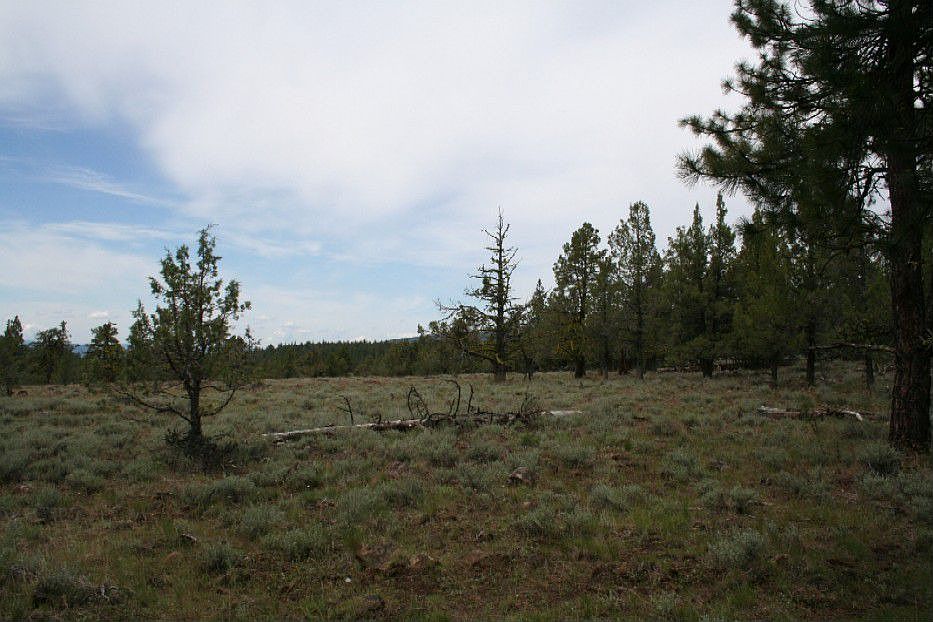 2nd image of 11211 Shovel Creek Rd