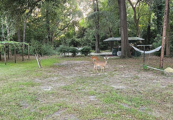 I stopped feeding them! ??