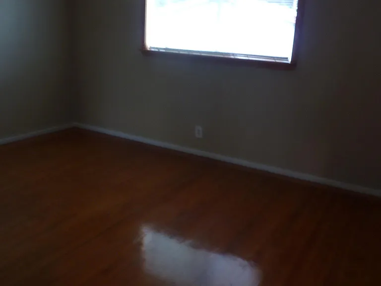 1441 Sierra Dr — Photo 11