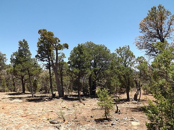 3rd image of 1529 Low Mountain Trl