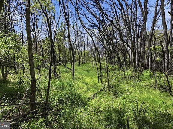 4th image of Cedar Creek Grade