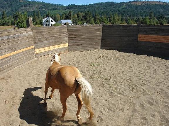 round pen