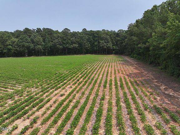 5th image of LOT 5 Claude Lewis Rd Lot 5
