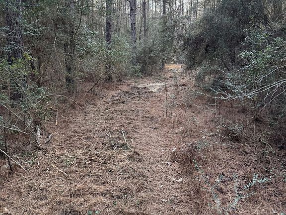 Photo Feb 13 2026 4 15 59 Pm