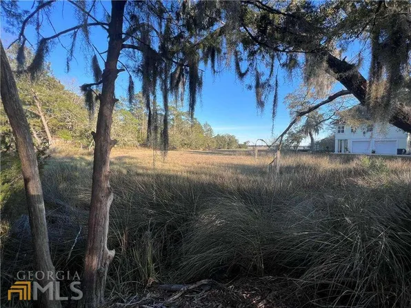 3490 Pelican Rd, Woodbine, GA 31569