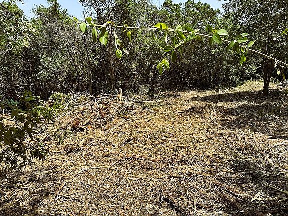 2nd image of 10513 Turkey Bend Dr