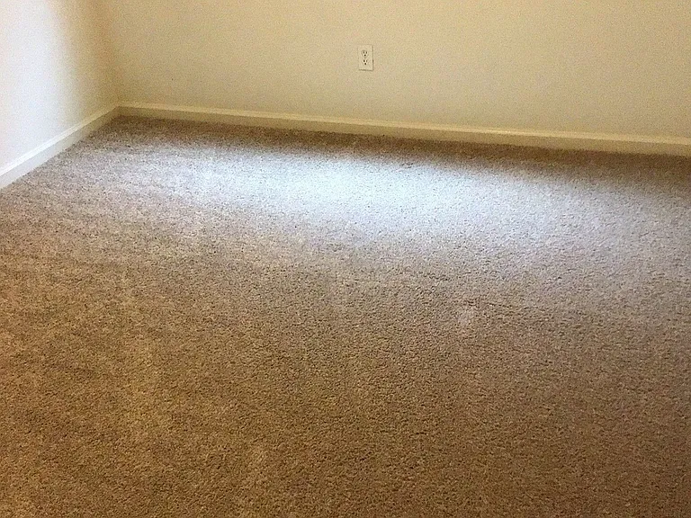 1014 Arbor Dr #1 — Photo 7