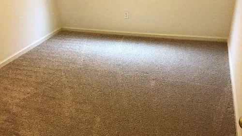 1014 Arbor Dr #1 Photo 1