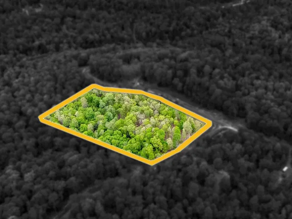 120 Laurel Loop, Bruceton Mills, WV 26525