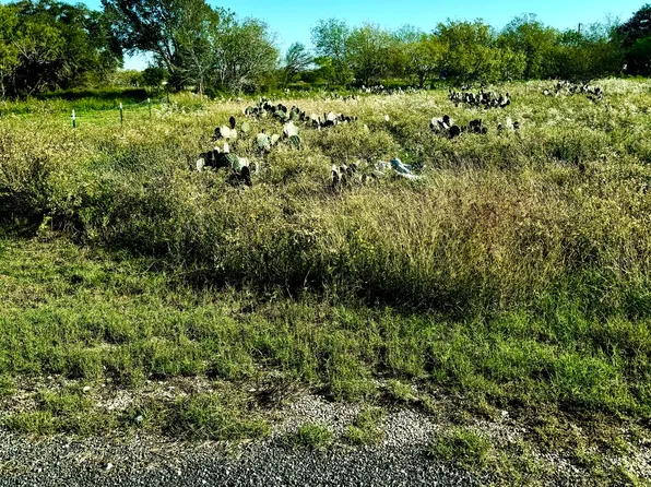 250 County Road 2646 LOT 15, Moore, TX 78057