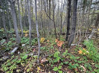 Xxx2 Ski Hill Rd, Lutsen, MN 55612