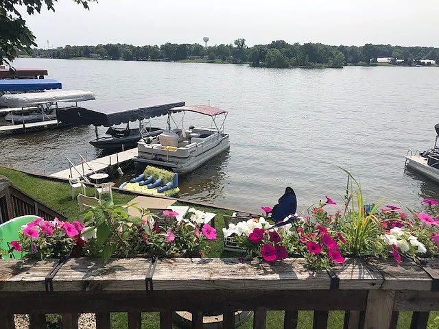 8440 Woodland Shore Dr photo 1