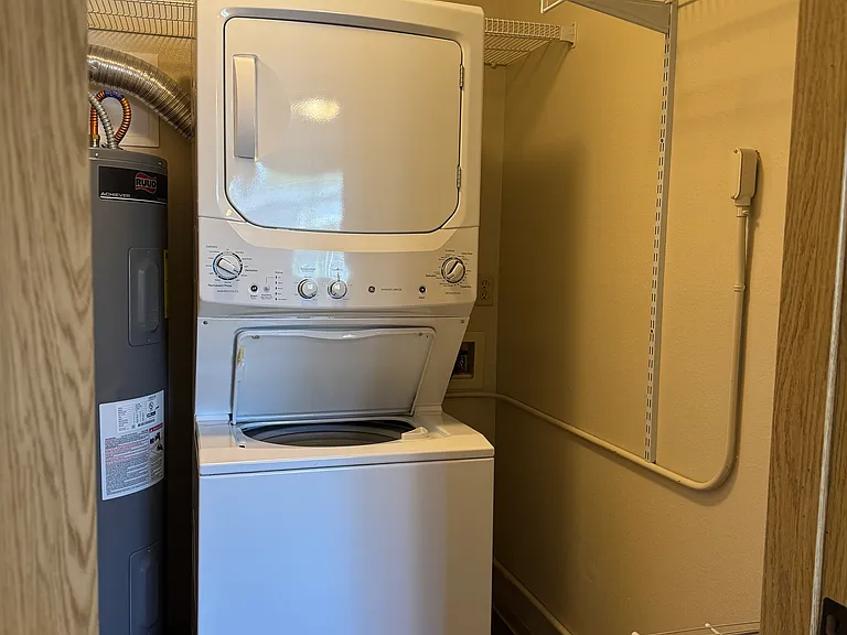 The Villa 1 Bed Stack W/D - BR Closet