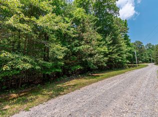 1.74 Pine Ln, Mineral Bluff, GA 30559
