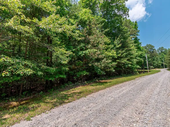 1.74 Pine Ln, Mineral Bluff, GA 30559