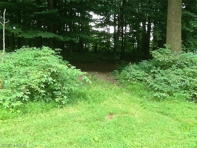 2nd image of 3654 York Rd