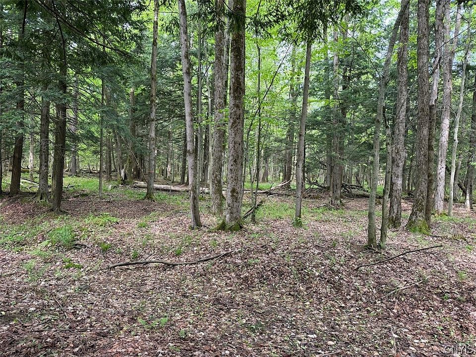 1st image of Kellogg Hill Rd