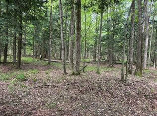 Kellogg Hill Rd, South Dayton, NY 14138
