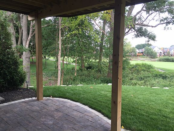 View from the back patio